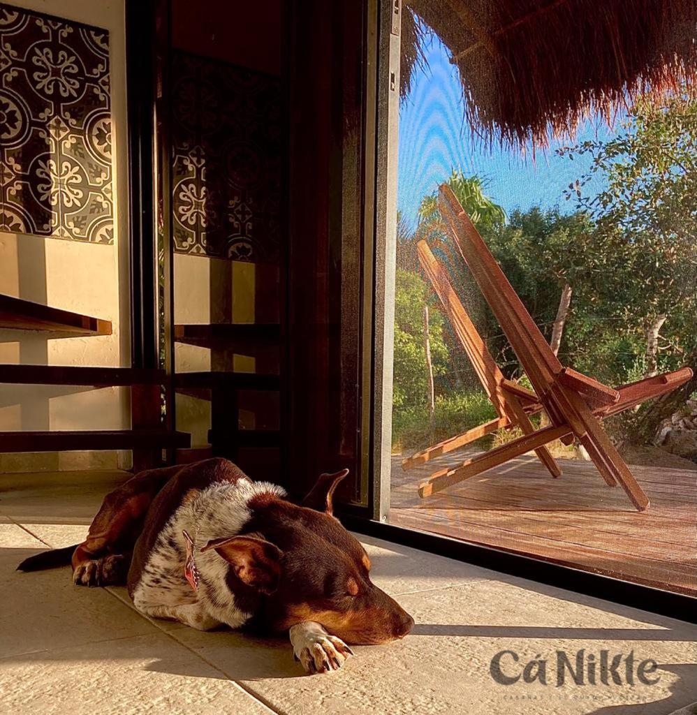Ca Nikte Cabanas El Cuyo Exterior foto
