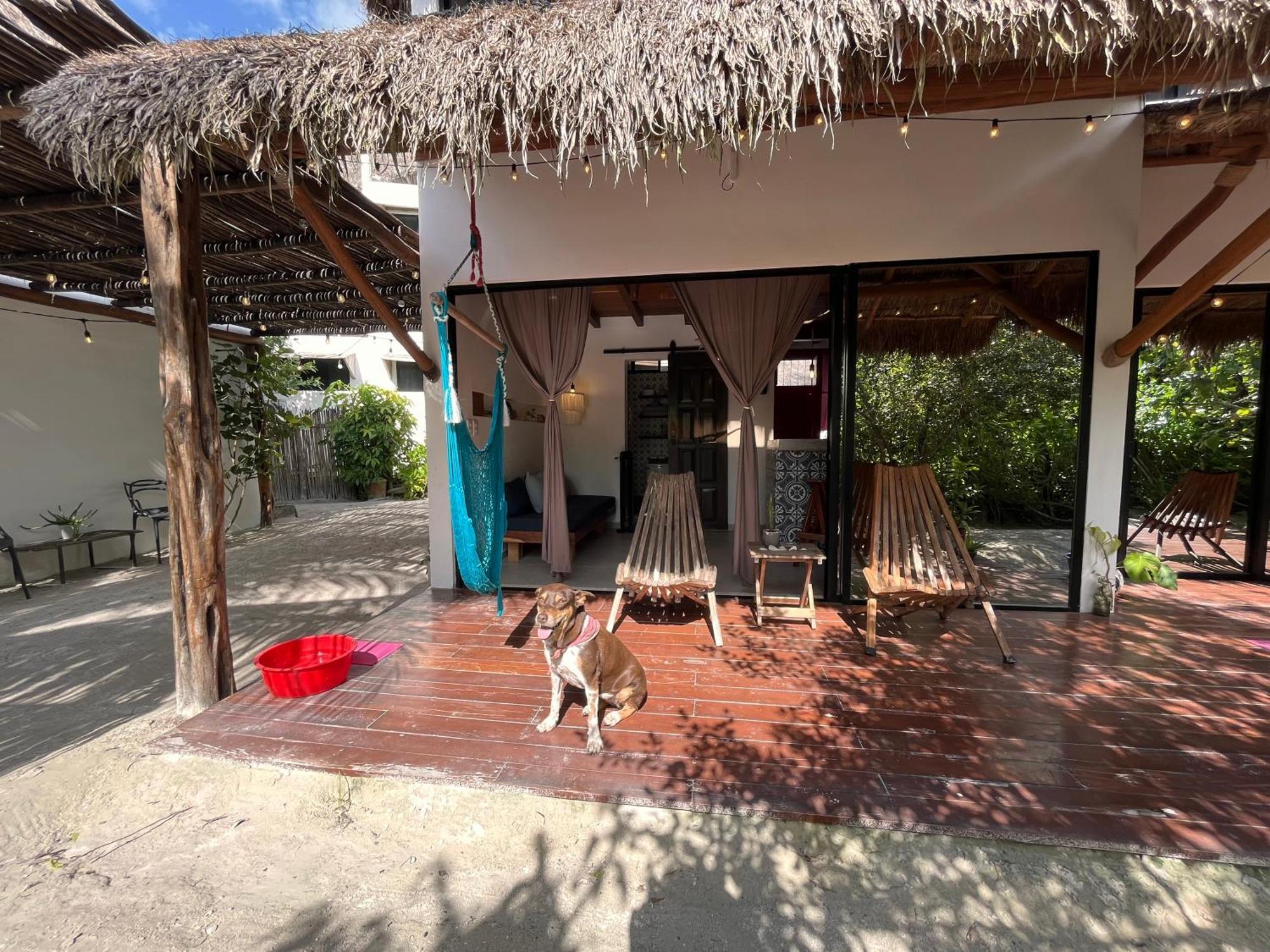 Ca Nikte Cabanas El Cuyo Exterior foto