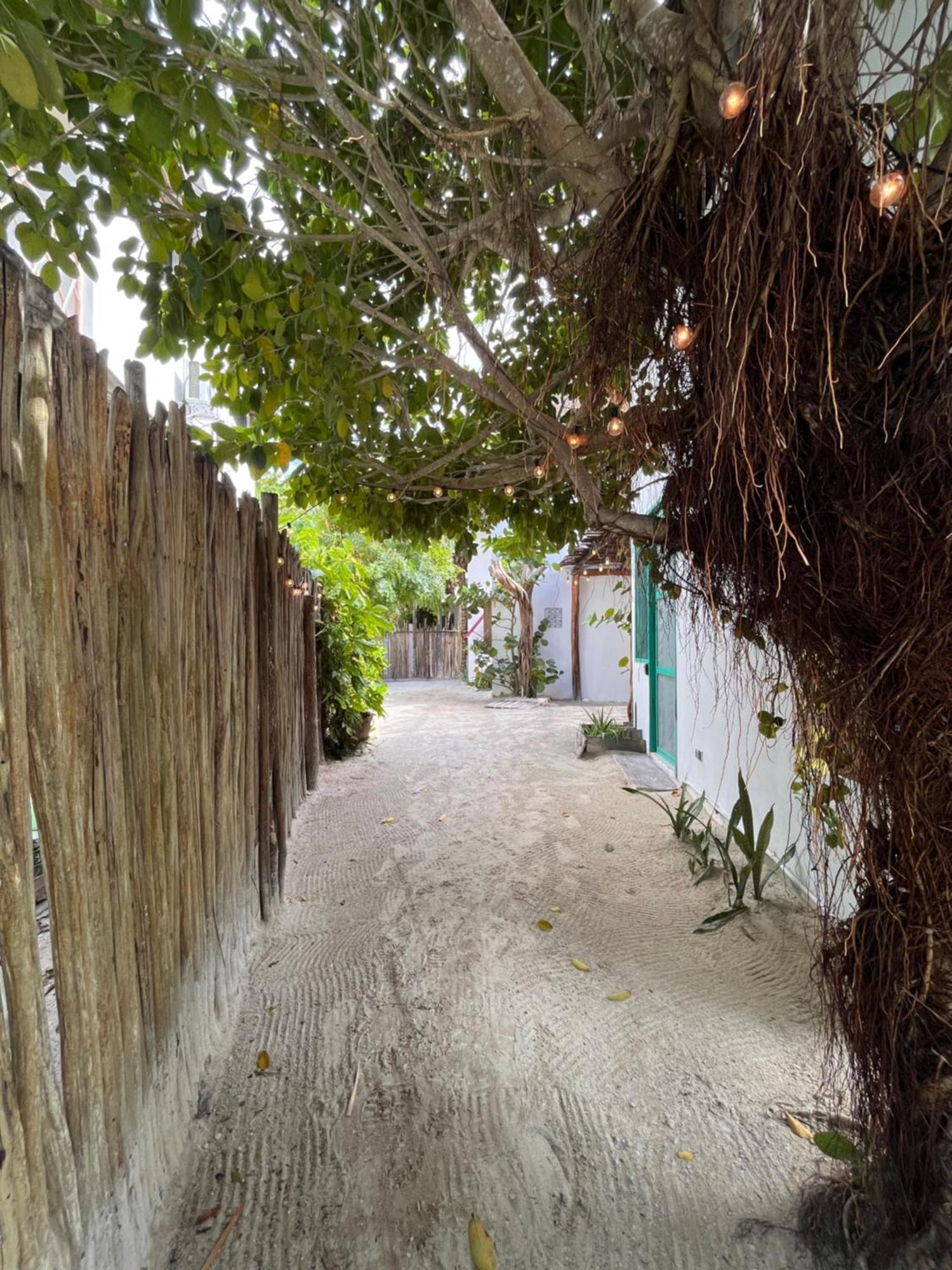 Ca Nikte Cabanas El Cuyo Exterior foto